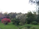 evening-walk-buttenshaw2
