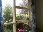 monday-through-the-window
